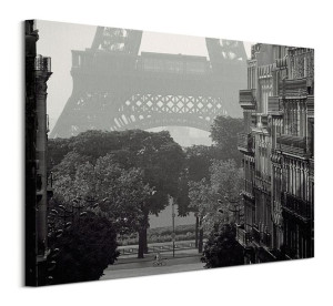 Eiffel Tower, Paris - obraz na płótnie 50x40 cm