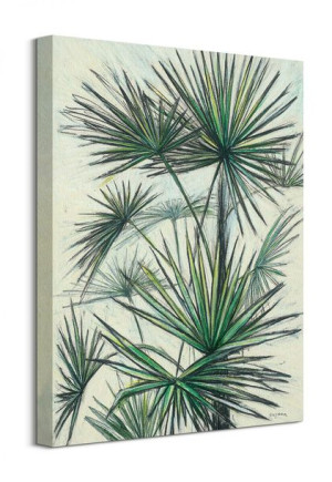 Fan Fern - obraz na płótnie 40x50 cm