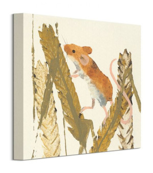 Harvest Mouse - obraz na płótnie 30x30 cm