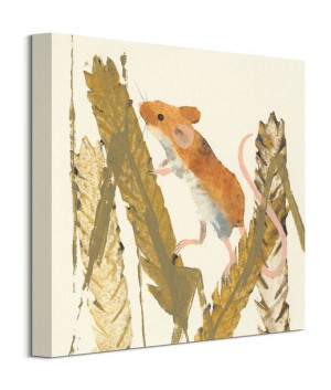 Harvest Mouse - obraz na płótnie 40x40 cm