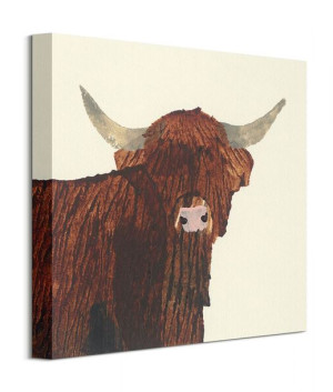 Highland Cow - obraz na płótnie 40x40 cm