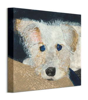 Oscar - obraz na płótnie 30x30 cm