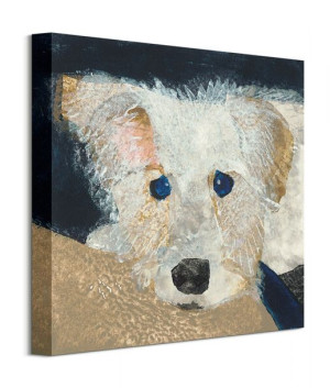 Oscar - obraz na płótnie 40x40 cm