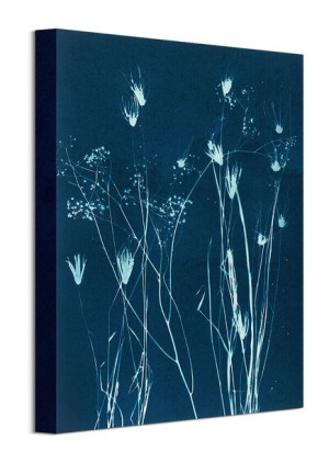 Grasses I - obraz na płótnie 30x40 cm