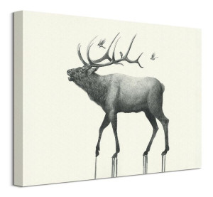 Calling Elk - obraz na płótnie 40x30 cm