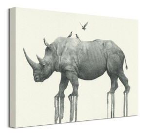 Majestic Rhinoceros - obraz na płótnie 40x30 cm