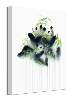 Pandas Bamboo - obraz na płótnie 30x40 cm