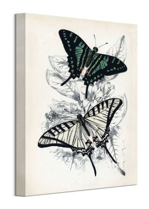Butterflies I - obraz na płótnie 30x40 cm