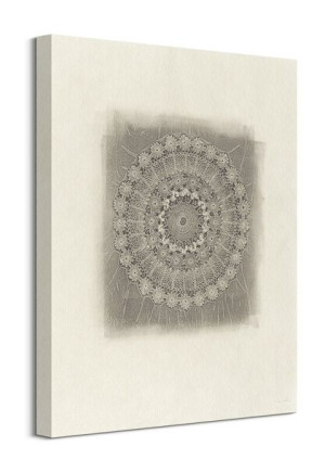 Fossil I - obraz na płótnie 40x50 cm