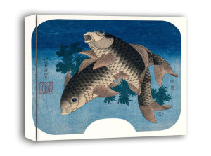 Carp Swimming by Water Weeds, Hokusai - obraz na płótnie 100x70 cm