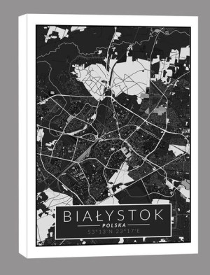 Białystok czarna mapa - obraz na płótnie 40x50 cm