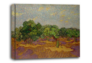 Olive Trees, Vincent van Gogh - obraz na płótnie 70x50 cm