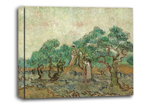 The Olive Orchard, Vincent van Gogh - obraz na płótnie 40x30 cm