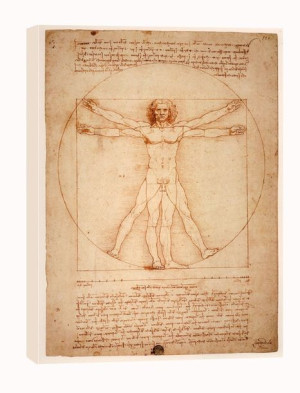 Anatomia, Leonardo da Vinci - obraz na płótnie 40x50 cm