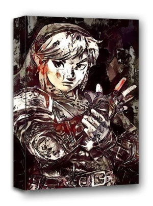 Legends of Bedlam, Link, The Legend of Zelda - obraz na płótnie 40x50 cm