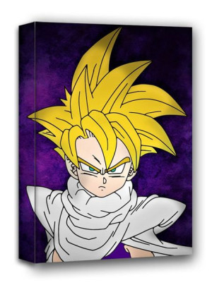 Dragon Ball, Gohan - obraz na płótnie 40x50 cm