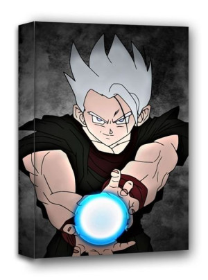 Dragon Ball, Gohan White - obraz na płótnie 30x40 cm