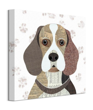 Beagle - obraz na płótnie 40x40 cm