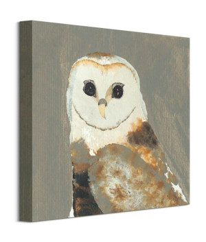 Barn Owl - obraz na płótnie 40x40 cm