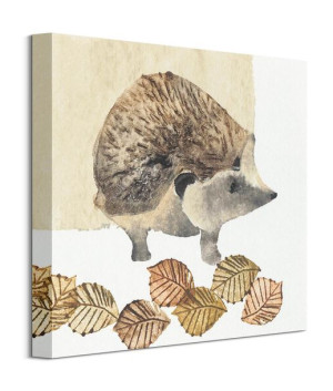 Hedgehog - obraz na płótnie 40x40 cm