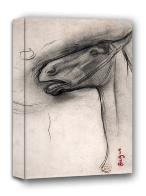 Head of a Horse, Edgar Degas - obraz na płótnie 70x100 cm