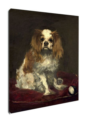 A King Charles Spaniel, Edouard Manet - obraz na płótnie 90x120 cm