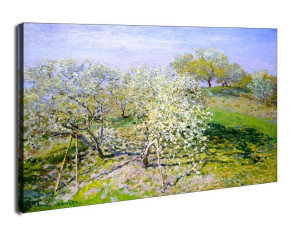 Apple trees in bloom, Claude Monet - obraz na płótnie 120x90 cm