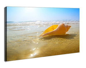 Muszelka na plaży, ocean - obraz na płótnie 120x90 cm