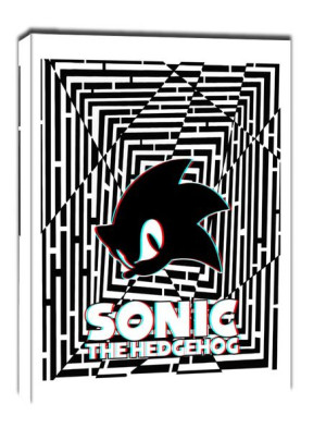 Maze Gaze Sonic the Hedgehog - obraz na płótnie 50x70 cm