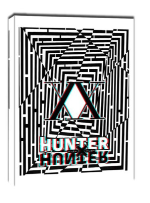 Maze Gaze Hunter x Hunter - obraz na płótnie 20x30 cm