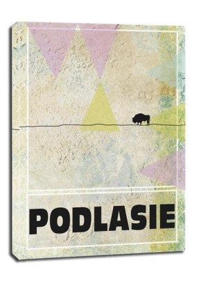 Podlasie - obraz na płótnie 70x100 cm