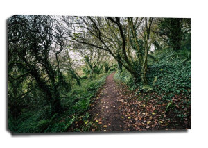 Coast Path - Plymouth - obraz na płótnie 70x50 cm