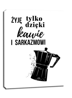 Sarkazm - obraz na płótnie 40x50 cm
