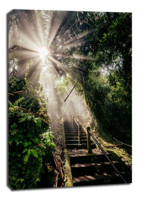 God light - obraz na płótnie 70x100 cm