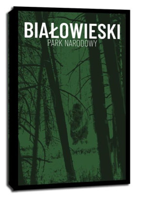 Parki Narodowe, Bialowieża - obraz na płótnie 20x30 cm