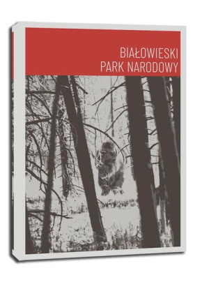 Parki Narodowe, Bialowieża red - obraz na płótnie 90x120 cm