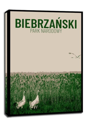 Parki Narodowe, Biebrza - obraz na płótnie 40x50 cm