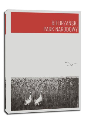 Parki Narodowe, Biebrza red - obraz na płótnie 61x91,5 cm