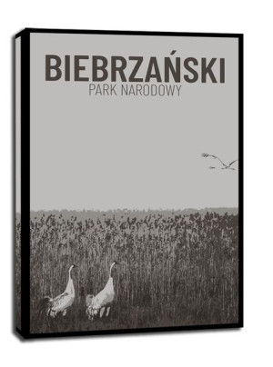 Parki Narodowe, Biebrza b&w - obraz na płótnie 30x40 cm