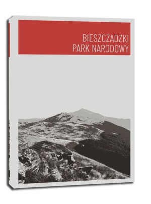 Parki Narodowe, Bieszczady red - obraz na płótnie 40x50 cm