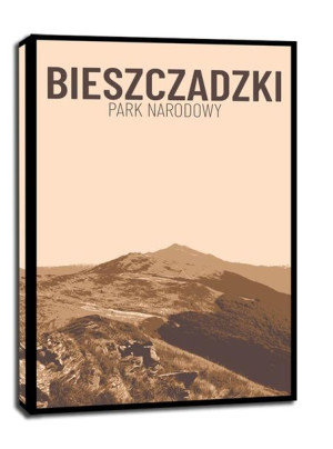 Parki Narodowe, Bieszczady - obraz na płótnie 60x80 cm
