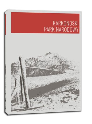 Parki Narodowe, Karkonosze red - obraz na płótnie 40x50 cm