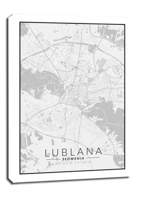 Lublana mapa czarno biała - obraz na płótnie 30x40 cm
