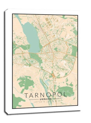 Tarnopol mapa kolorowa - obraz na płótnie 61x91,5 cm