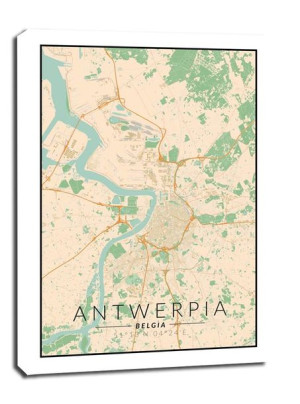 Antwerpia mapa kolorowa - obraz na płótnie 40x50 cm