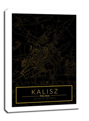 Kalisz mapa złota - obraz na płótnie 60x80 cm