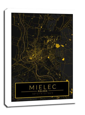 Mielec mapa złota - obraz na płótnie 40x60 cm