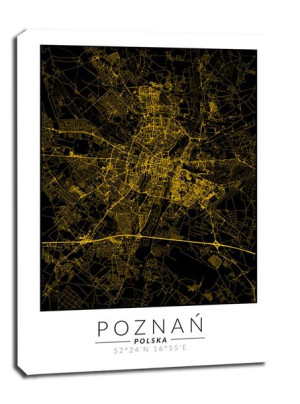 Poznań mapa złota - obraz na płótnie 20x30 cm
