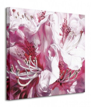Froth And Flounce - Obraz na płótnie 60x60 cm