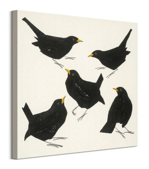 Blackbirds - obraz na płótnie 60x60 cm